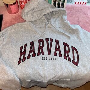 Gray Harvard Hoodie 
Extra Large 
Pockets
